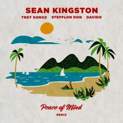 Sean Kingston & Davido Ft. Stefflon Don & Trey Songz - Peace Of Mind (Remix)